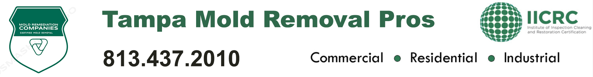 Tampa Mold Removal Pros